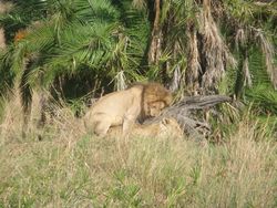 Kenya Volunteers Project 2