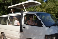 Safari Tour
