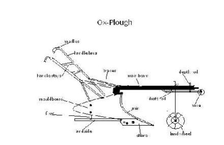 plough functions study