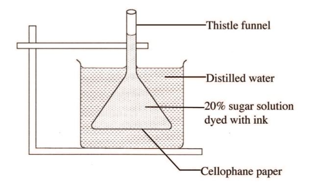 Edexcel gcse maths unit 3 section b specimen terminal paper image