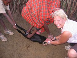 Volunteer accommodation in Masai
