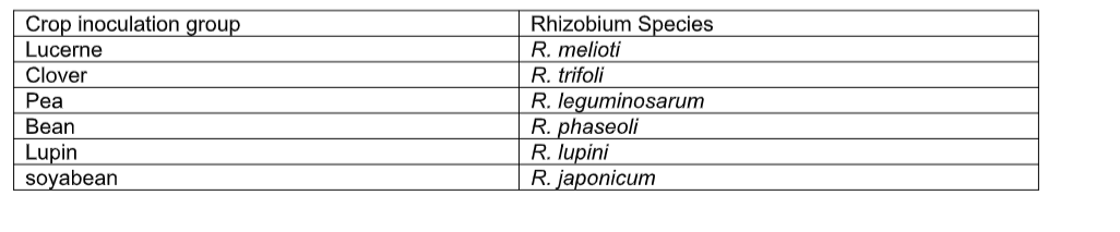 Updated Free Agriculture Notes For Secondary School (Form 1 to 4) 2