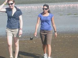 physiotherapy electives students take a safari in Kenya