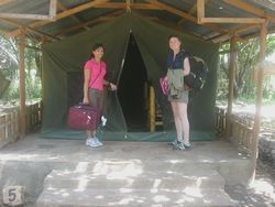 physiotherapy electives students take a safari in Kenya